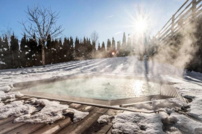 Отель Sonnenhotel Adler Spa & Nature, Вилландерс